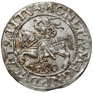 Zygmunt II August, Półgrosz Wilno 1560