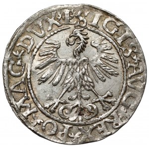 Zygmunt II August, Półgrosz Wilno 1560