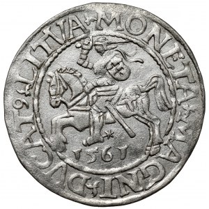 Zygmunt II August, Półgrosz Wilno 1561