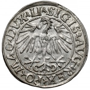 Zygmunt II August, Półgrosz Wilno 1548 - arabska