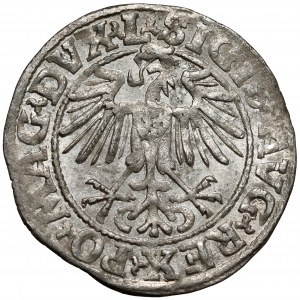 Zygmunt II August, Półgrosz Wilno 1549 - wczesny