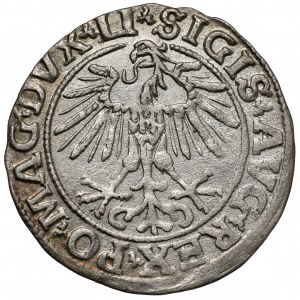 Zygmunt II August, Półgrosz Wilno 1551