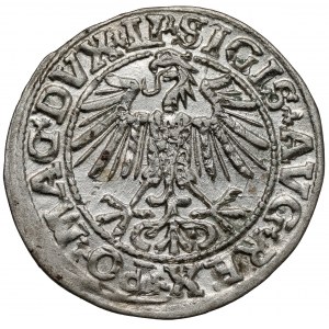 Zygmunt II August, Półgrosz Wilno 1549