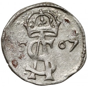 Zygmunt II August, Dwudenar Wilno 1567