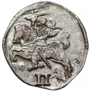 Zygmunt II August, Dwudenar Wilno 1567