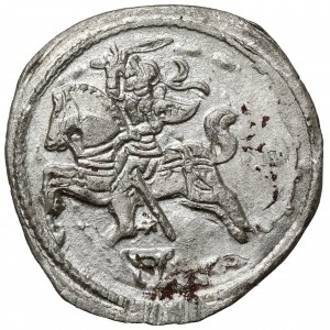 Zygmunt II August, Dwudenar Wilno 1566