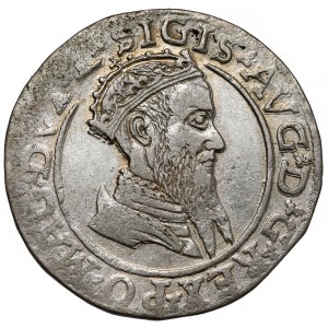 Zygmunt II August, Czworak Wilno 1568