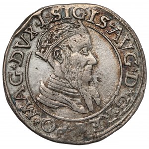 Zygmunt II August, Czworak Wilno 1566