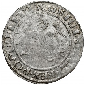 Zygmunt I Stary, Grosz Wilno 1536 - litera F