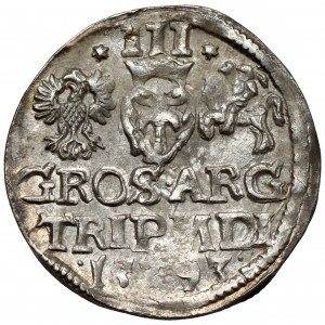 Zygmunt III Waza, Trojak Wilno 1593 - Dyla