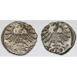 Zygmunt II August, Denary Wilno 1556 i 1558 - zestaw (2szt)