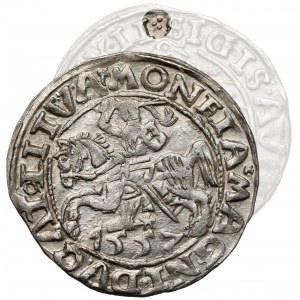 Zygmunt II August, Półgrosz Wilno 1557 - 2x koniczyna - rzadki
