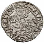 Zygmunt II August, Półgrosz Wilno 1557 - 2x koniczyna - rzadki