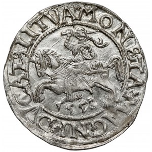 Zygmunt II August, Półgrosz Wilno 1558