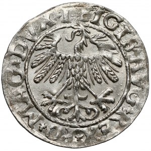 Zygmunt II August, Półgrosz Wilno 1558