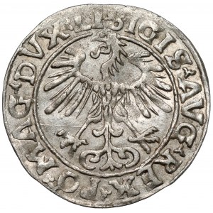 Zygmunt II August, Półgrosz Wilno 1553