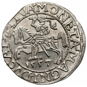 Zygmunt II August, Półgrosz Wilno 1557