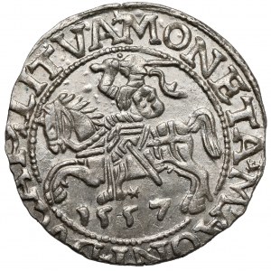 Zygmunt II August, Półgrosz Wilno 1557