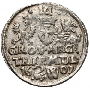 Zygmunt III Waza, Trojak Wilno 1601 - Łabędź - Orzeł w KORONIE
