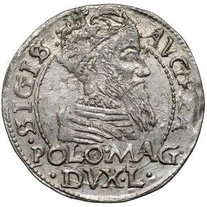 Zygmunt II August, Grosz na stopę polską 1566, Tykocin