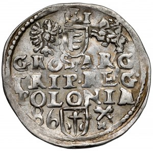 Stefan Batory, Trojak Poznań 1586 - kwiatek