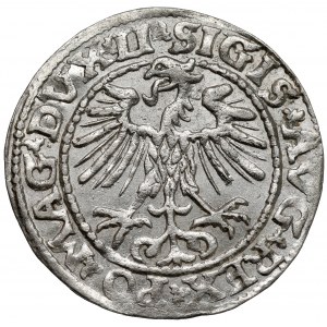 Zygmunt II August, Półgrosz Wilno 1552