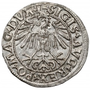Zygmunt II August, Półgrosz Wilno 1550 - L / LITVA - rzadki