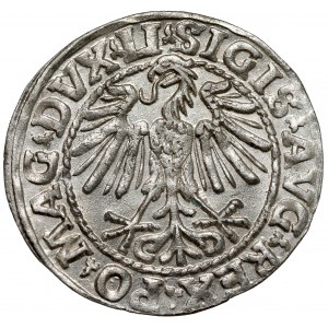 Zygmunt II August, Półgrosz Wilno 1548