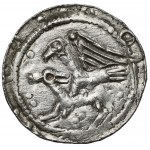 Władysław II Wygnaniec, Denar - Orzeł i Zając - EN FACE (w hełmach)