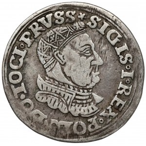 Zygmunt I Stary, Trojak Toruń 1534 - ozdobna zbroja - rzadki