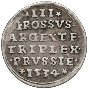 Zygmunt I Stary, Trojak Toruń 1534 - ozdobna zbroja - rzadki