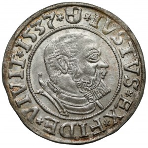 Prusy, Albrecht Hohenzollern, Grosz Królewiec 1537