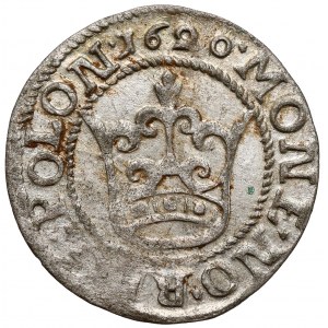 Zygmunt III Waza, Półgrosz Bydgoszcz 1620