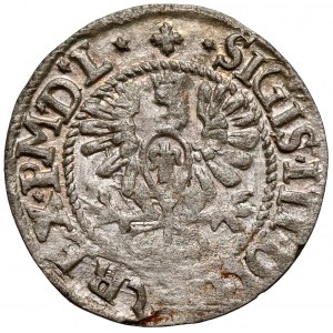 Zygmunt III Waza, Półgrosz Bydgoszcz 1620