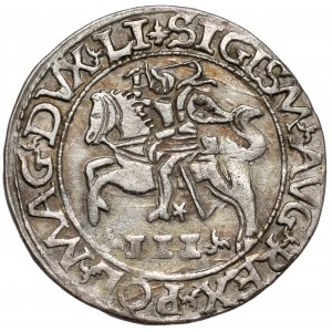 Zygmunt II August, Trojak Tykocin 1565 - szyderczy