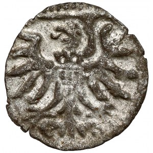 Zygmunt II August, Denar Gdańsk 1555