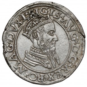 Zygmunt II August, Czworak Wilno 1566