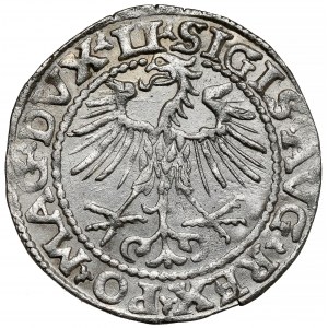 Zygmunt II August, Półgrosz Wilno 1552