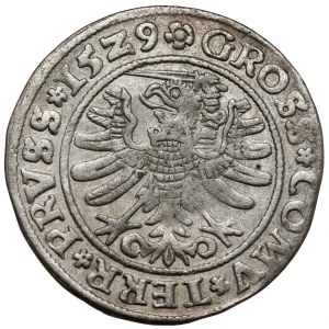 Zygmunt I Stary, Grosz Toruń 1529