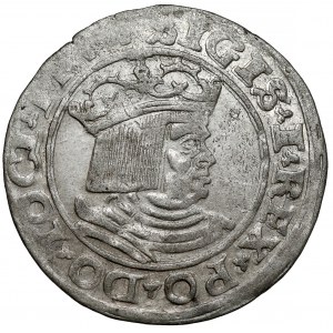 Zygmunt I Stary, Grosz Toruń 1530