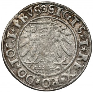 Zygmunt I Stary, Grosz Elbląg 1534