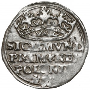 Zygmunt I Stary, Grosz Kraków 1528