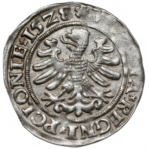 Zygmunt I Stary, Grosz Kraków 1528