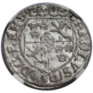 Karol XI, Półtorak Ryga 1669