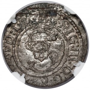 Zygmunt III Waza, Szeląg Wilno 1624