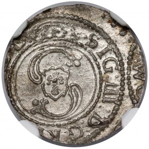 Zygmunt III Waza, Szeląg Wilno 1624