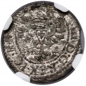 Zygmunt III Waza, Szeląg Wilno 1623