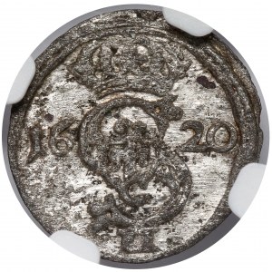 Zygmunt III Waza, Dwudenar Wilno 1620