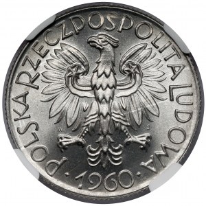 Rybak 5 złotych 1960
