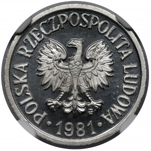 10 groszy 1981 - lustrzany